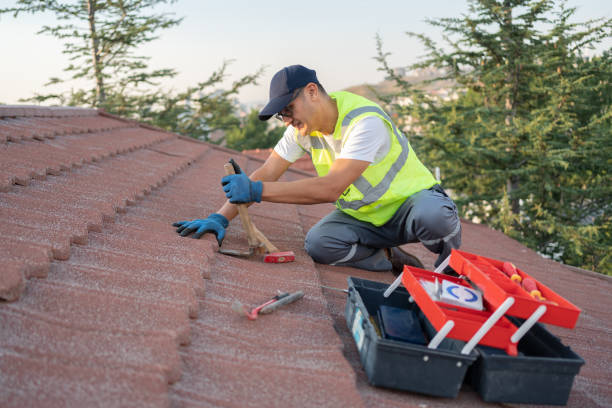 Best Roof Gutter Cleaning  in Diamond Bar, CA